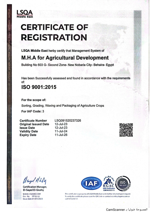 ISO 9001:2015